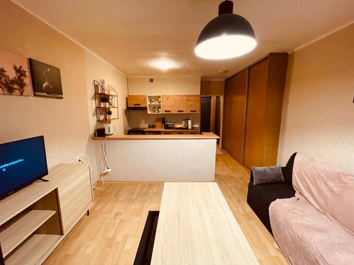 Apartamenty Ktw Park Slaski Luksusowy Prl كاتوفيتسه المظهر الخارجي الصورة